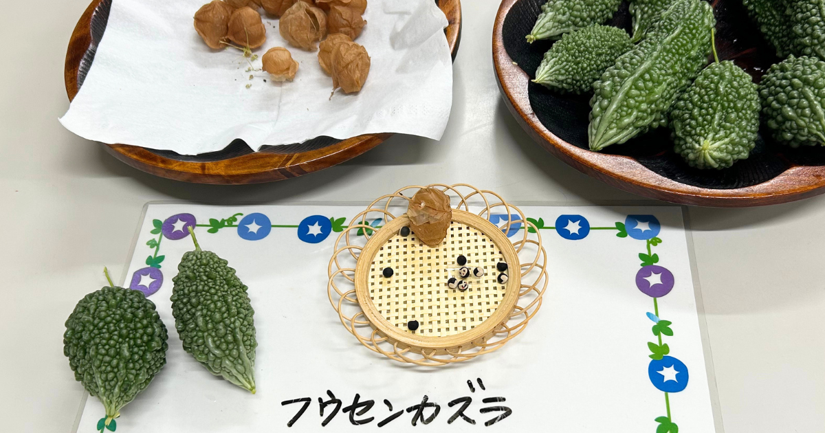 気功教室の様子 気功の体験